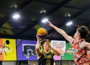 开云下载-点燃球场激情的篮球对决如火如荼！的简单介绍