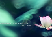 开云体育中国官网-欧文末节独舞，吉林队对阵猛龙悬念提前终结