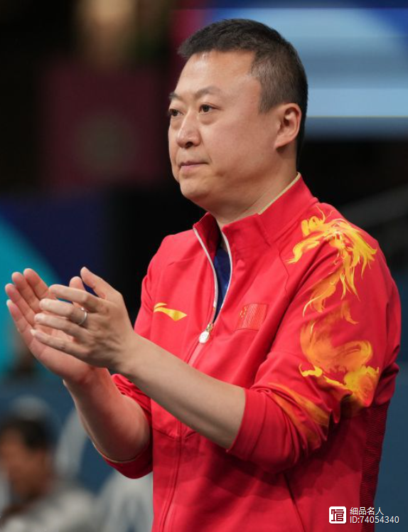 日本羽毛球队轻取法国羽毛球队，马琳惊艳世界的简单介绍