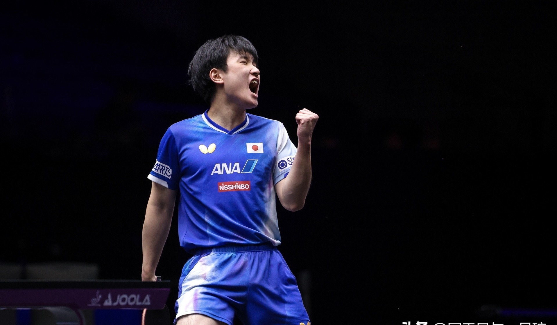 日本乒乓球队血洗韩国乒乓球队,张本智和关键制胜的简单介绍 日本乒乓球队血洗韩国乒乓球队,张本智和关键制胜的简单介绍