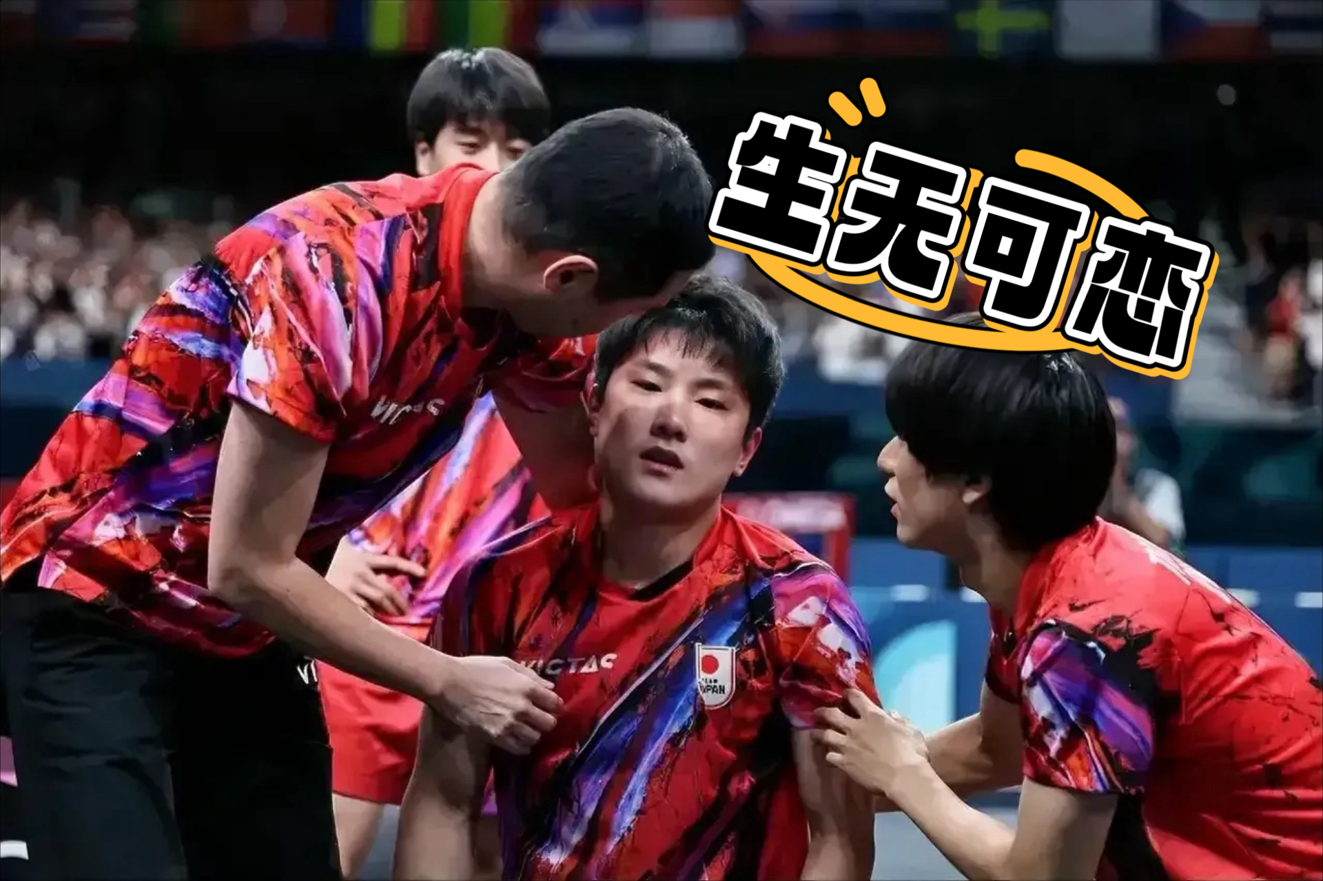 日本乒乓球队血洗韩国乒乓球队,张本智和关键制胜的简单介绍 日本乒乓球队血洗韩国乒乓球队,张本智和关键制胜的简单介绍