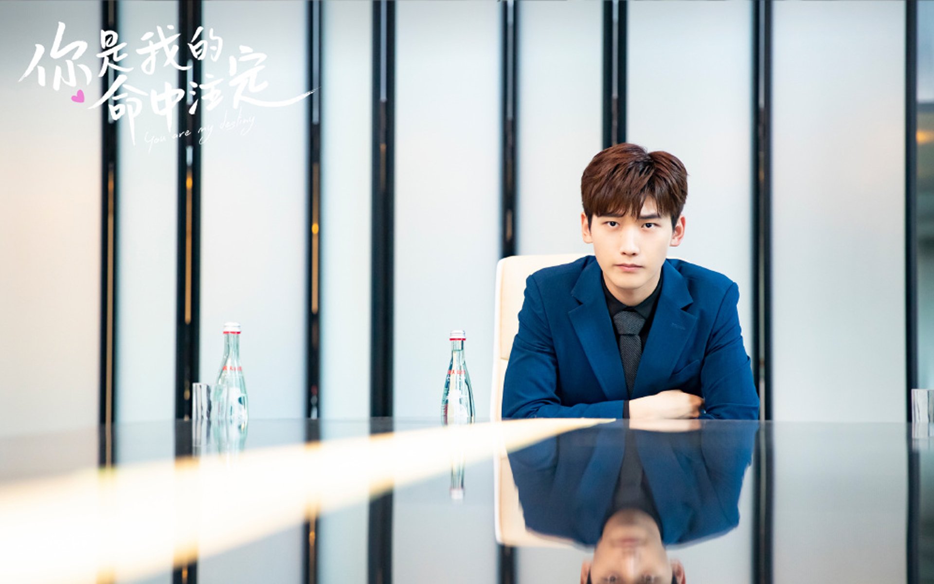 欧冠决赛焦点战,奇才完胜浙江队,一场跨越时空的梦幻对决