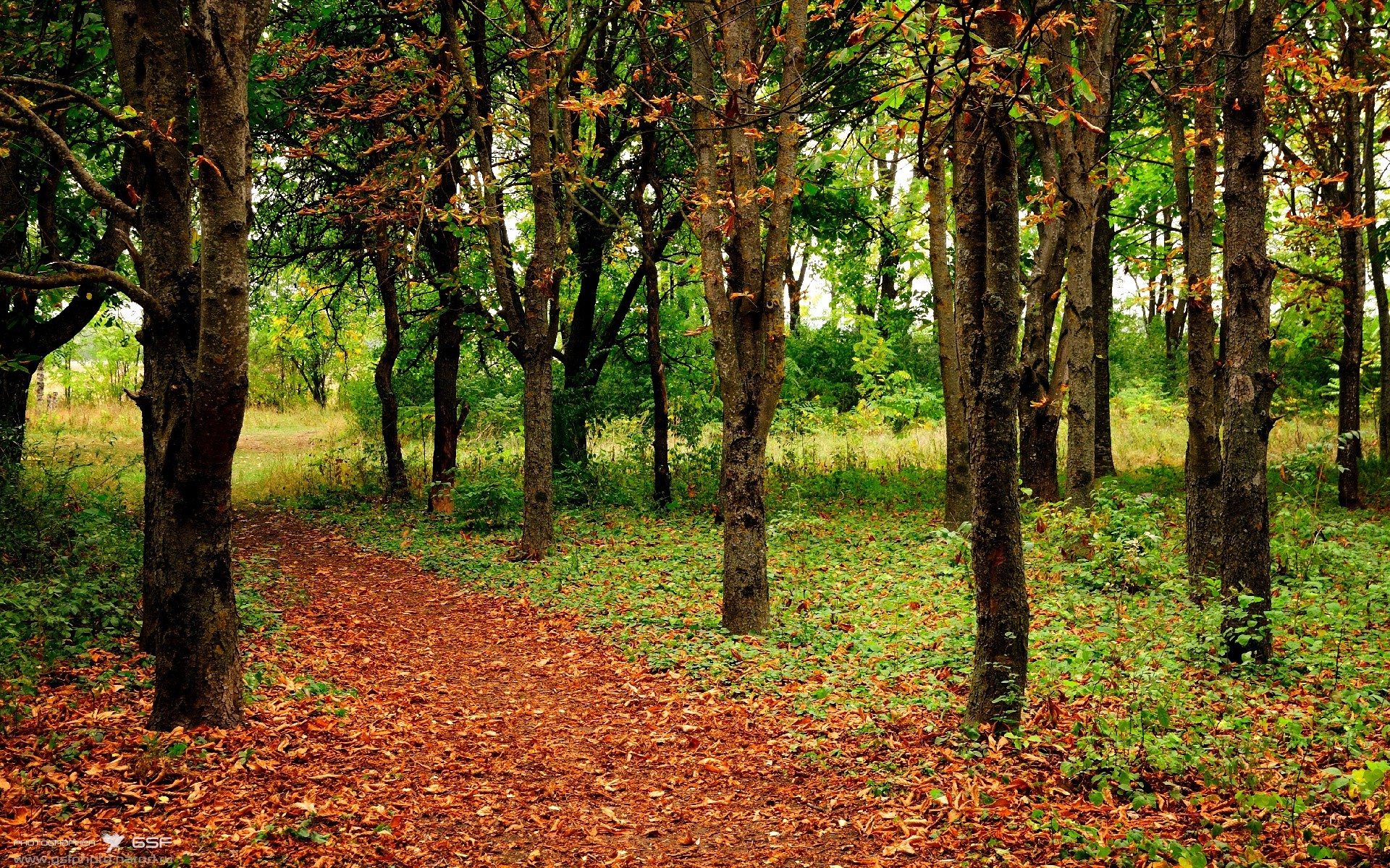 杜兰特末节狂飙定乾坤,辽宁队决胜局力克76人展冠军底蕴
