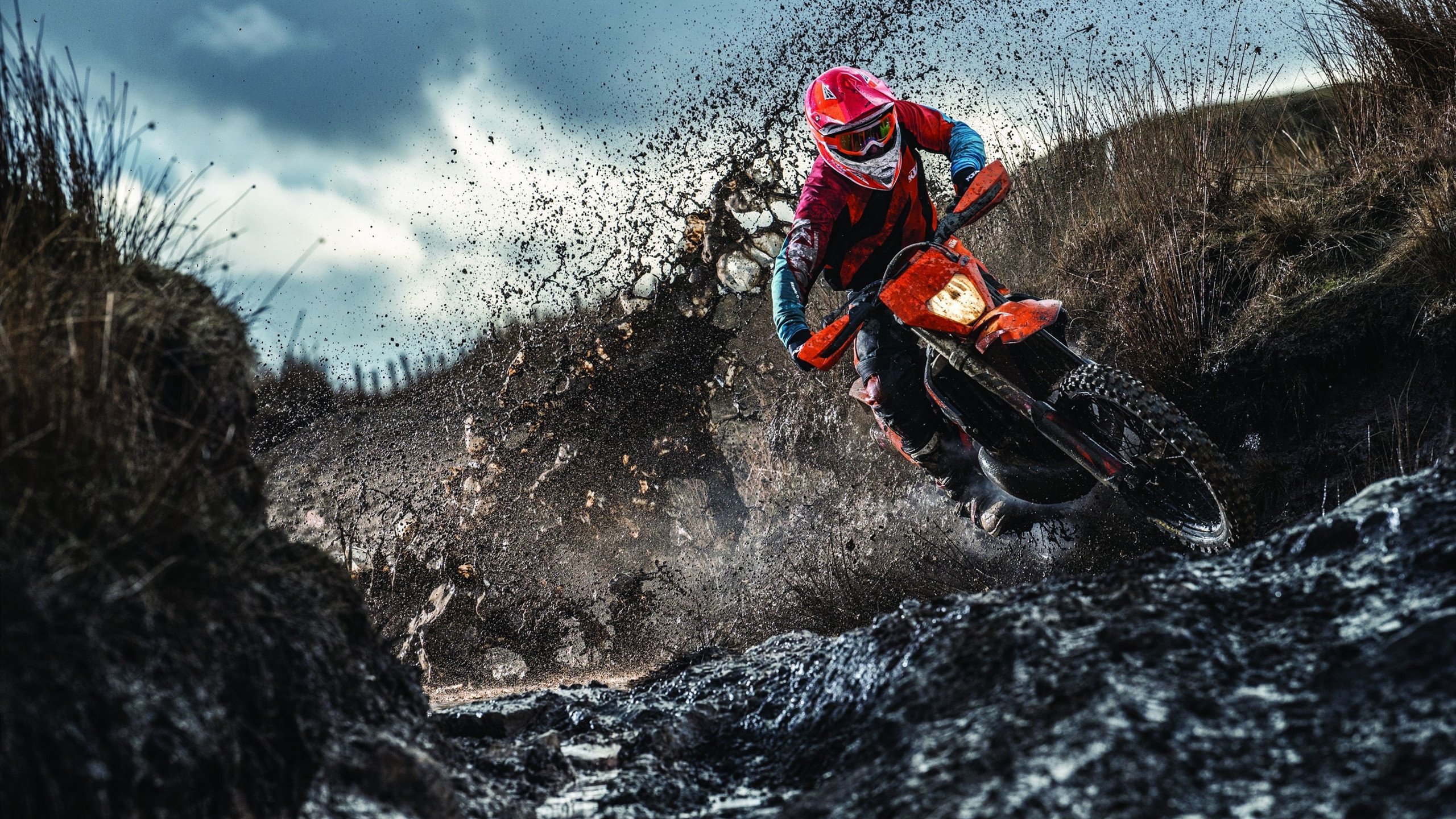 戈贝尔关键回合不手软,魔术完胜广东队,一场跨越篮球世界的战术对话