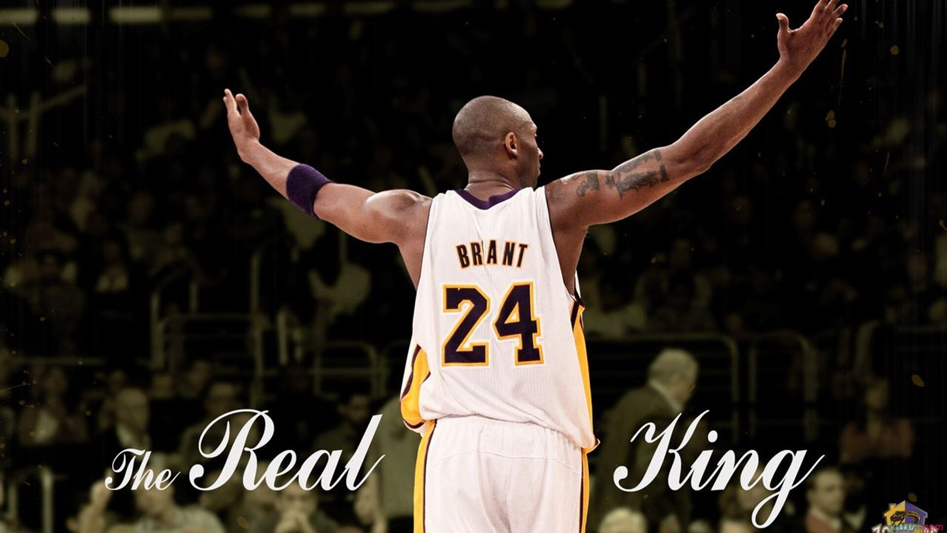 横扫与点燃，吉林虎啸震江南，拉文式表演定义新篇章